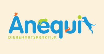 Anequi